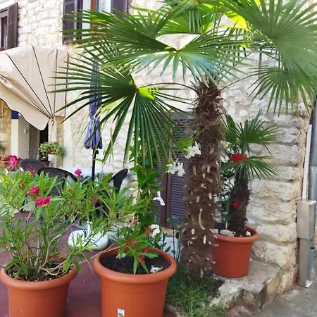 Maja Apartment Višnjan Exterior foto